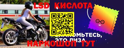 Альфа ПВП Рузаевка