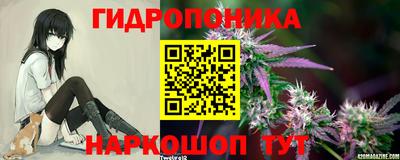 стаф Свободный