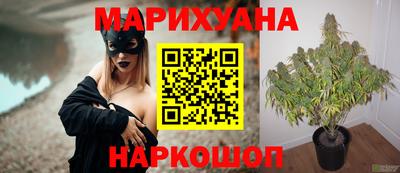 Альфа ПВП Рузаевка