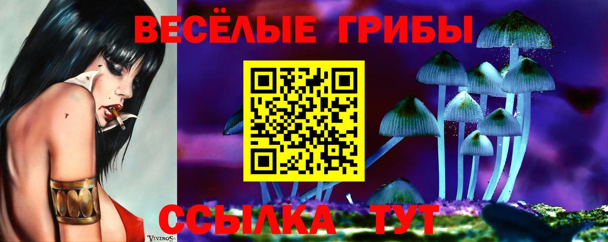 Псилоцибиновые грибы ЛСД Октябрьский